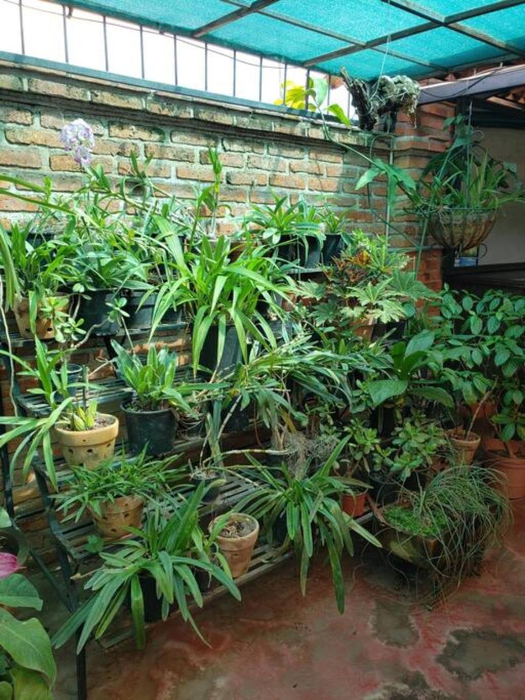 Enjoy Ac In The Penthouse At Inn Ajijic Luaran gambar